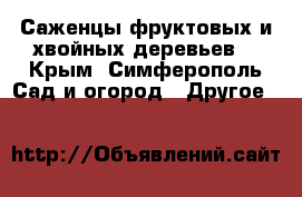 Саженцы фруктовых и хвойных деревьев. - Крым, Симферополь Сад и огород » Другое   